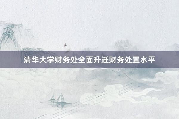 清华大学财务处全面升迁财务处置水平